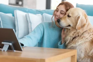 assurance chien obligatoire ou pas