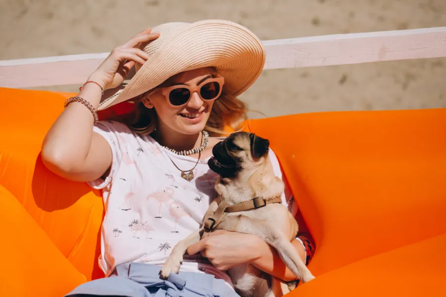 assurance-chien-vacance-que-verifier