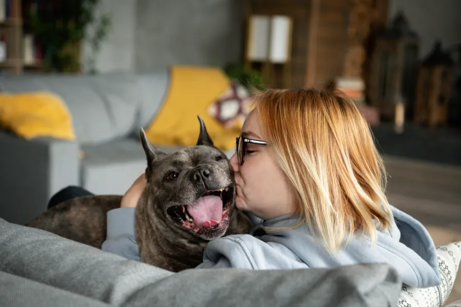bien vivre avec son chien au quotidien