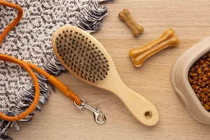 quelle brosse choisir pour son chien