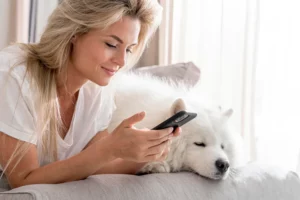 Comment fonctionne la téléconsultation vétérinaire avec une assurance chien _