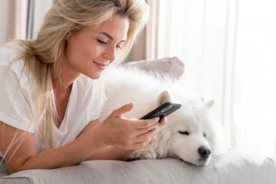 Comment fonctionne la téléconsultation vétérinaire avec une assurance chien _