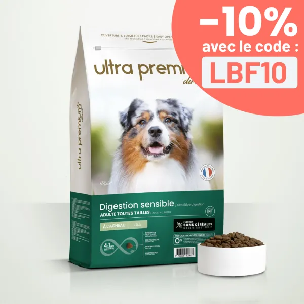Croquettes Sans Céréales Chien Digestion Sensible Toutes Tailles