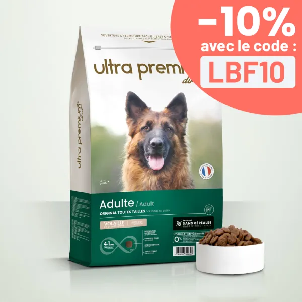 Croquettes Sans Céréales - Original - Chien Adulte Toutes Tailles