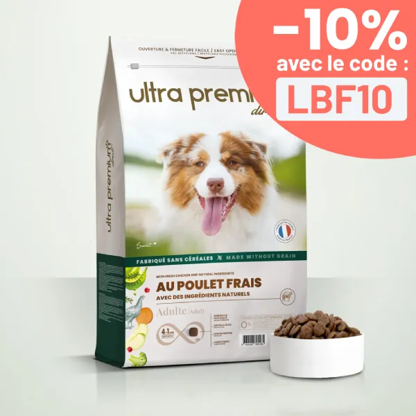 Croquettes Sans Céréales au Poulet frais pour chien adulte toutes tailles