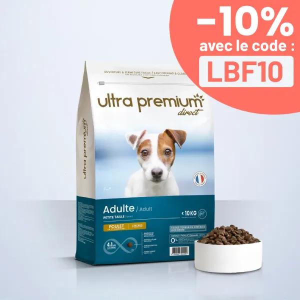 Croquettes Super Premium Pour Chien de Petite Taille jusqu'à 10 Kg