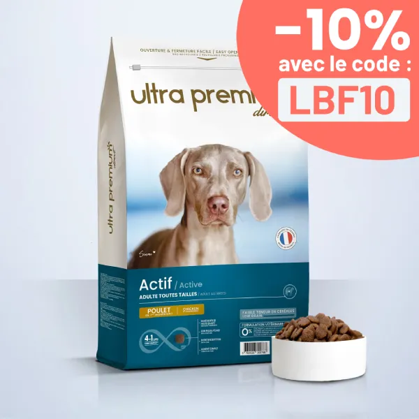 Croquettes Super Premium pour Chien Actif de Toutes Tailles