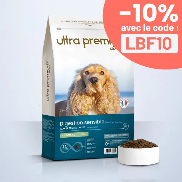 Croquettes Super Premium pour Chien Agneau et Riz