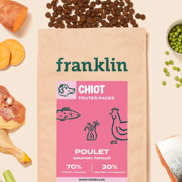 Franklin Chiot poulet