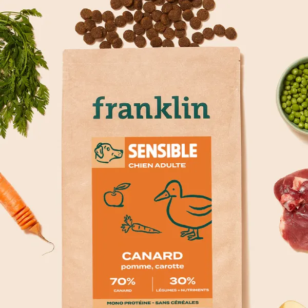 Franklin Sensible Canard