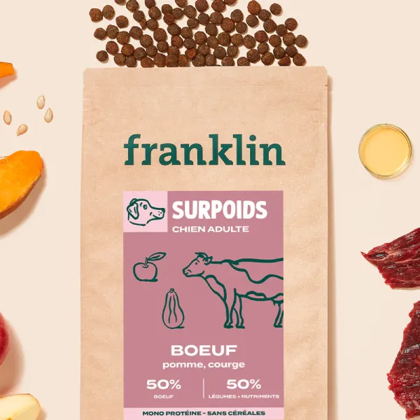 Franklin Surpoid Boeuf