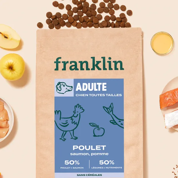 Franklin adulte poulet