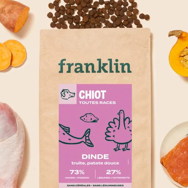 Franklin chiot Dinde