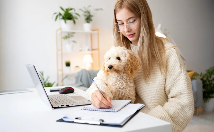 exclusions fréquentes assurance chien