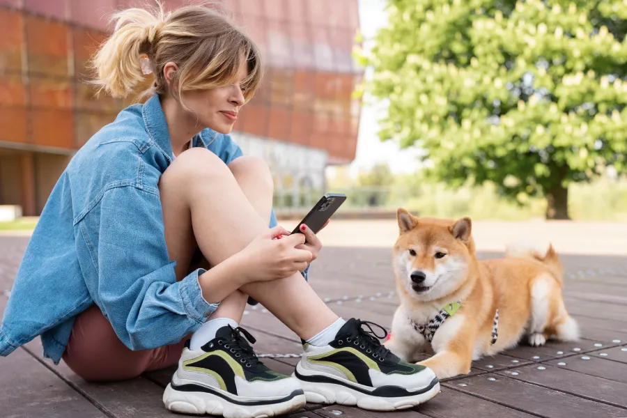 tiers payant assurance sante chien