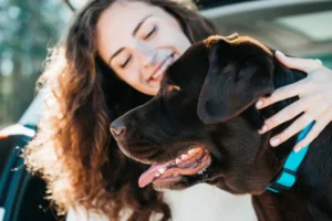 bilan santé chien