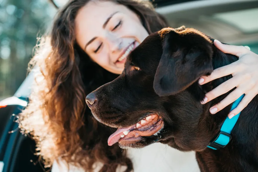bilan santé chien