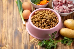 transition croquettes maison industrielle