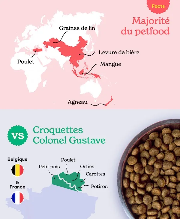 Origine des croquettes Colonel Gustave