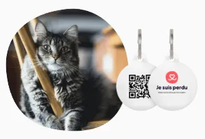 médaille connectée goodflair