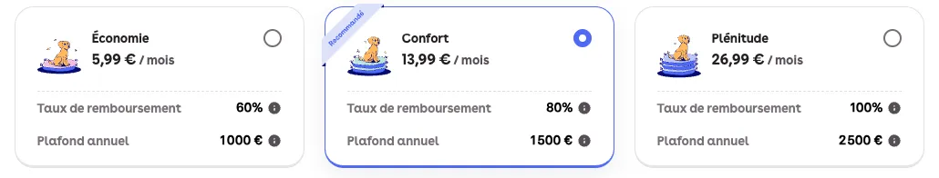 Formules assurance santé dalma pour chat