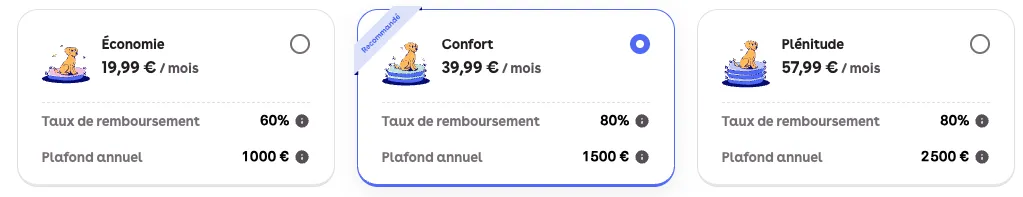 chienne berger australien 7 ans dalma