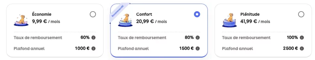 prix assurance dalma chat maine coon 3 ans