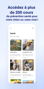 application Lassie application Lassie